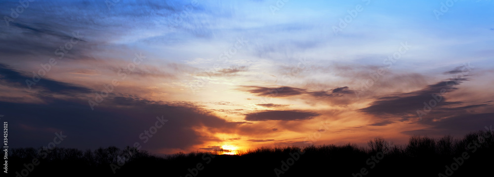 Sunset over the trees. Panoramic background wallpapper