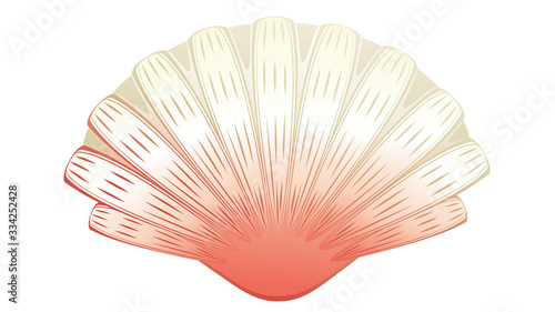 Decorative seashell design