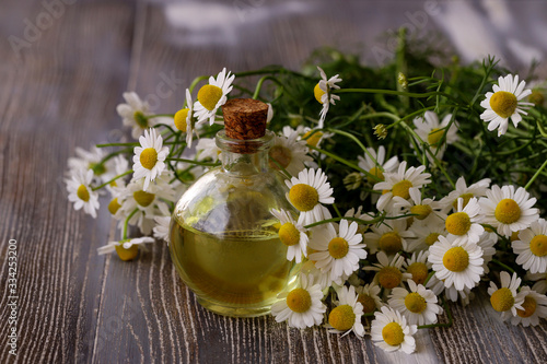 Chamomile flower oil. May daisy.