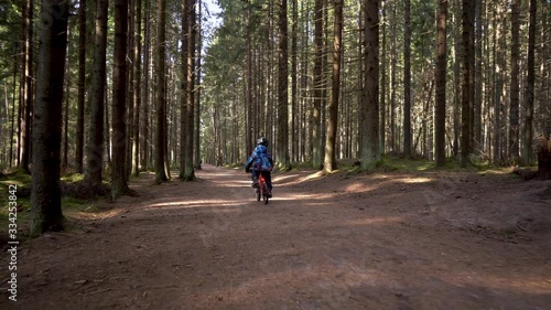 Wallpaper Mural A child in a blue jacket on a red bicycle rides through the forest. The camera on the stage moves behind the bicycle Torontodigital.ca