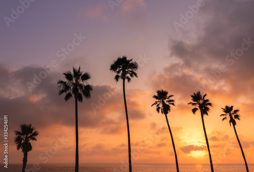 Silhouettes of Palm Trees on a Beach During Sunset in Los Angeles, California