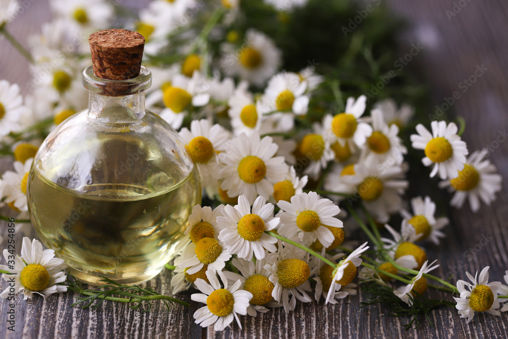 Chamomile flower oil. May daisy. Chamomile flower oil. May daisy.