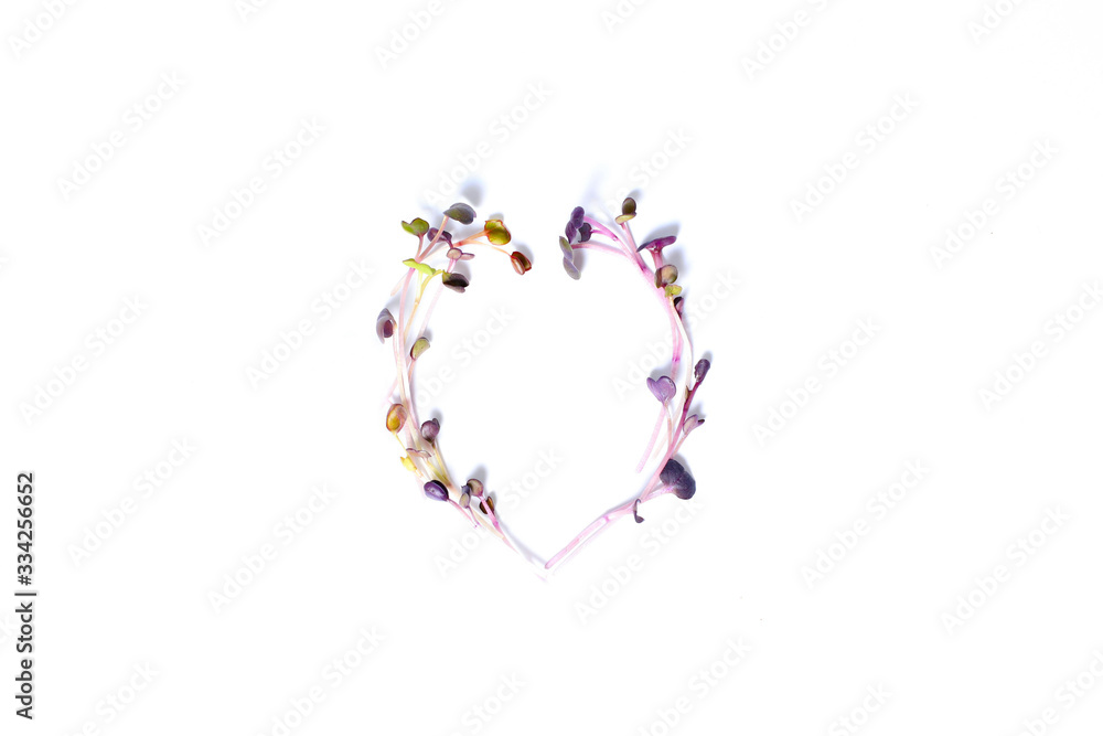 Micro green cabbage on a white background is laid out in the shape of a heart Micro green cabbage on a white background is laid out in the shape of a heart