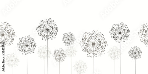 Seamless dandelion pattern, vector seamless background with hand drawn plants and seeds