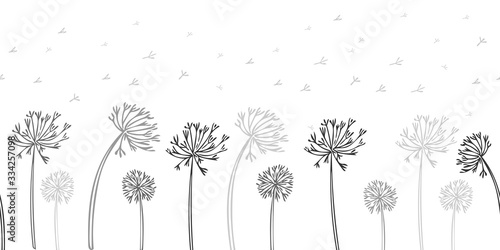 Seamless dandelion pattern, vector seamless background with hand drawn plants and seeds