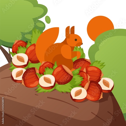 Squirrel stock nuts, hazelnut, wood, sun, isolated on white, flat vector illustration. Design banner nature, wildlife, dense forest, woodland. Squirrel sit in crown tree and eat nutlet.