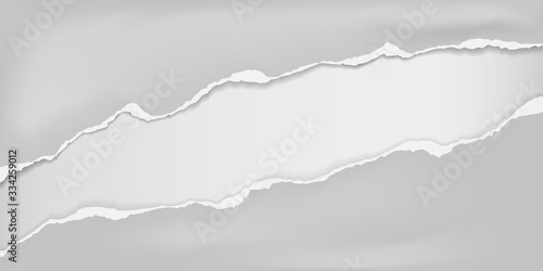 Pieces of torn grey crumple paper with soft shadow stuck on white background. Vector illustration