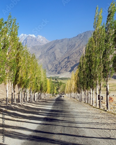 Pamir highway  road and alley of poplar trees