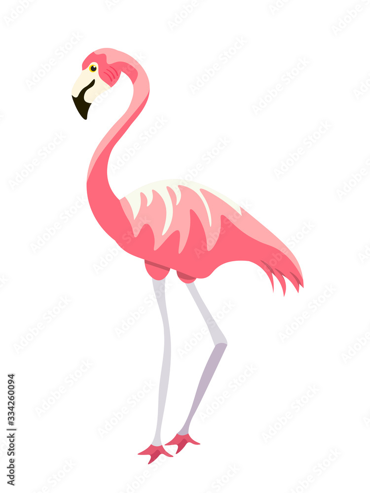 Naklejka premium Cute pink flamingo exotic bird isolated on white