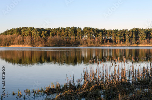 Spring morning on the lake, calm expanse of water and the shore with trees, balance and peace.