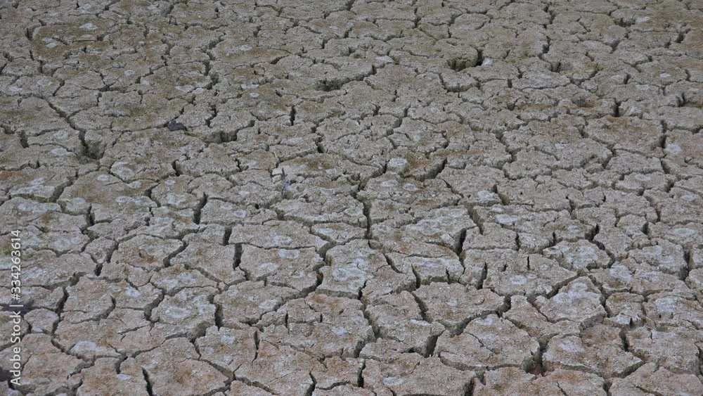 Cracked ground after drought soil on a farm UK 4K Cracked ground after drought soil on a farm UK 4K
