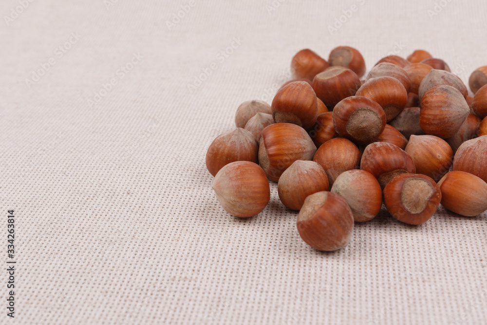 A pile of hazelnuts. Close-up.