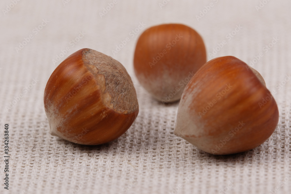 Three hazelnuts. Close-up. Three hazelnuts. Close-up.