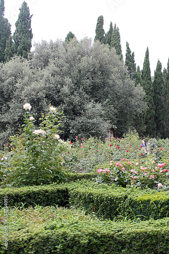 fragment of a flowering park with topiary
