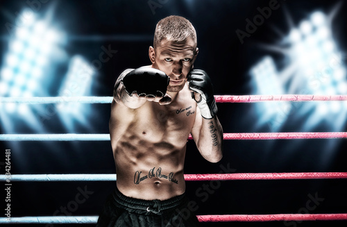 Cuadro en lienzo Mixed martial artist posing in the ring against spotlights