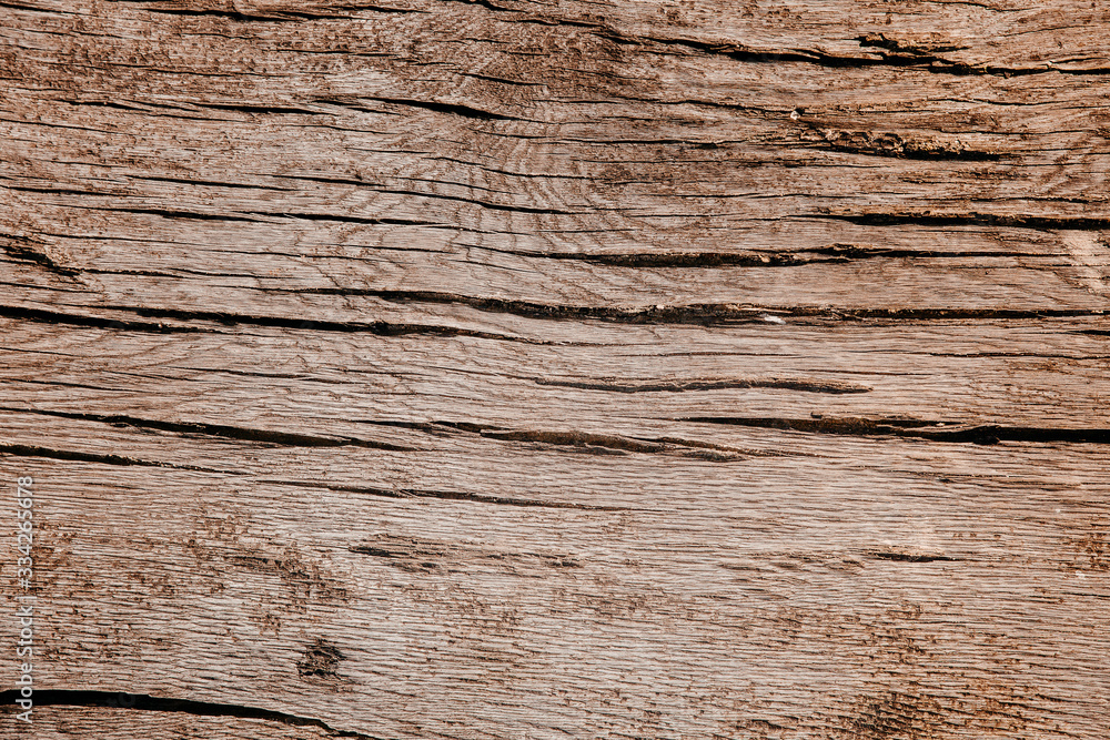 Naklejka premium Holz Struktur Baum Fasern