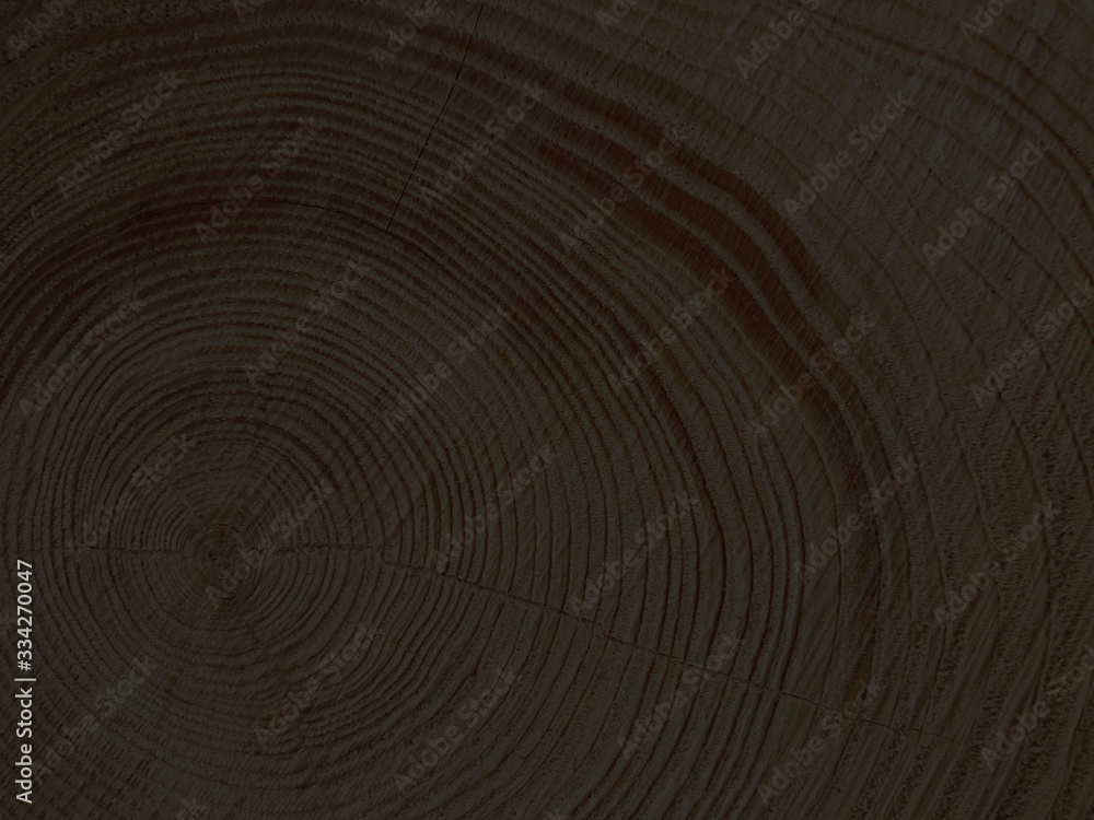 black wood rings, cut wood as background black wood rings, cut wood as background