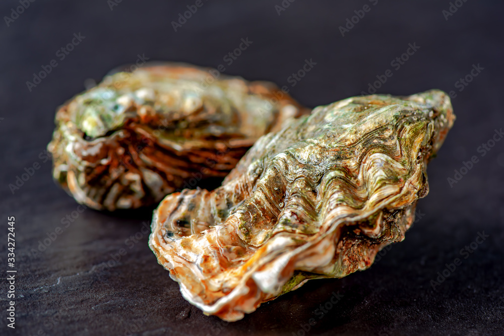 Raw oysters on stone surface Raw oysters on stone surface