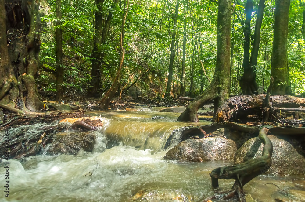 Fototapeta premium Natural stream from mountain at tropical forest with focused at waterfall