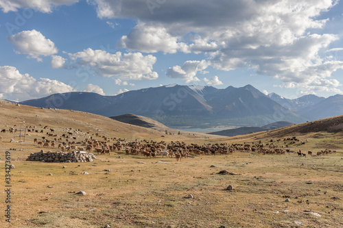 Mongolia landscape. Altai Tavan Bogd National Park in Bayar-Ulgii