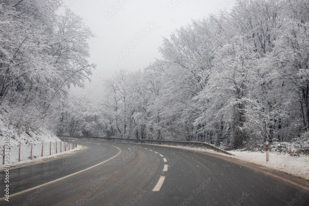 Snow on the road at winter. Trees covered with snow next to the road. Cestobrodica in Serbia. Snow on the road at winter. Trees covered with snow next to the road. Cestobrodica in Serbia.