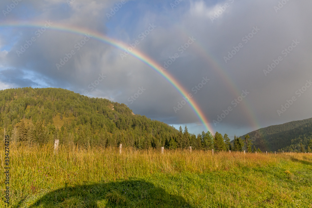 colored rainbow over the mountain with green pines. colored rainbow over the mountain with green pines.