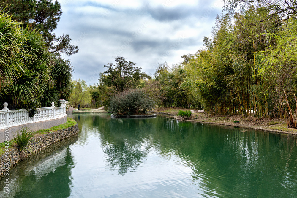 Russia city of Sochi Adler district park Southern cultures. Pond with reflection of trees Russia city of Sochi Adler district park Southern cultures. Pond with reflection of trees