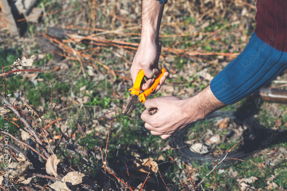 Fototapeta premium young man with pliers cuts wire