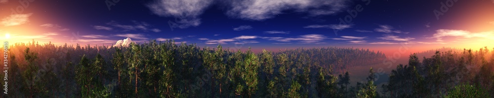 Panorama of the forest landscape, sunrise over the forest, sunset over the park, 3D rendering