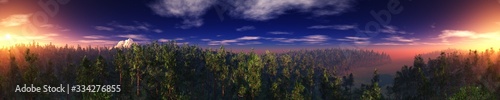 Panorama of the forest landscape, sunrise over the forest, sunset over the park, 3D rendering