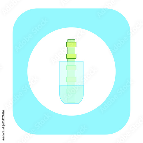 bamboo inside glass vase on white background