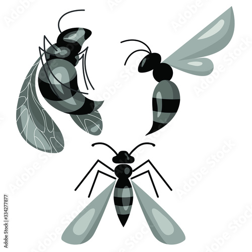 Illustration of a Common Wasp (Vespula vulgaris) in an etched style.