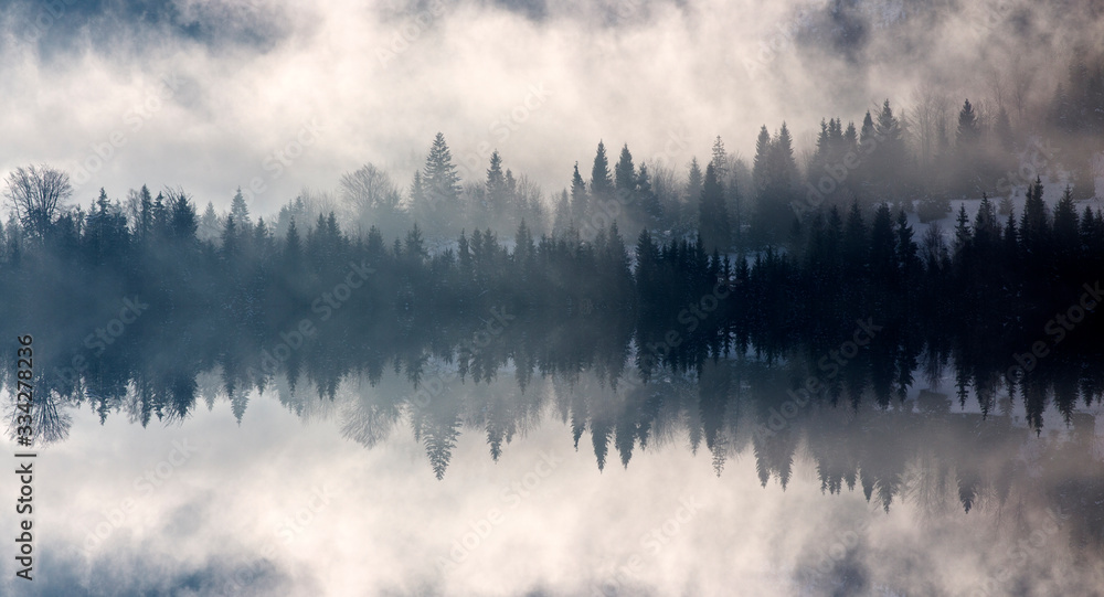 Abstract image with foggy forest that looks like sound-waves. Abstract image with foggy forest that looks like sound-waves.