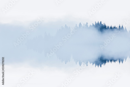 Abstract image with foggy forest that looks like sound-waves. © belyaaa