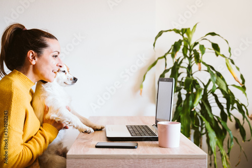 young woman working on laptop at home,cute small dog besides. work from home, stay safe during coronavirus covid-2019 concpt photo