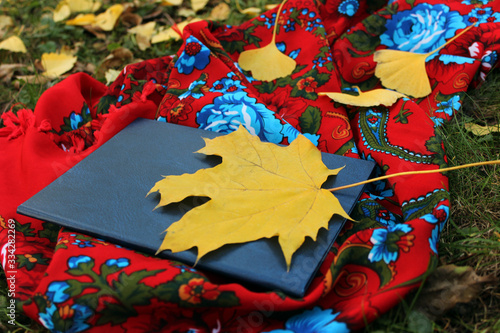 recreation with a book in the autumn Park