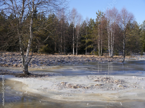 Überschwemmung durch einen Biberdamm am Fluss Kremelna im Sumava Nationalpark