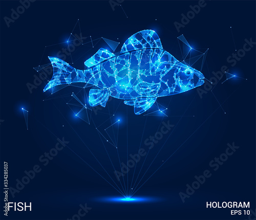 Hologram fish. Fish from polygons, triangles of points and lines. Fish is a low-poly compound structure. The technology concept.