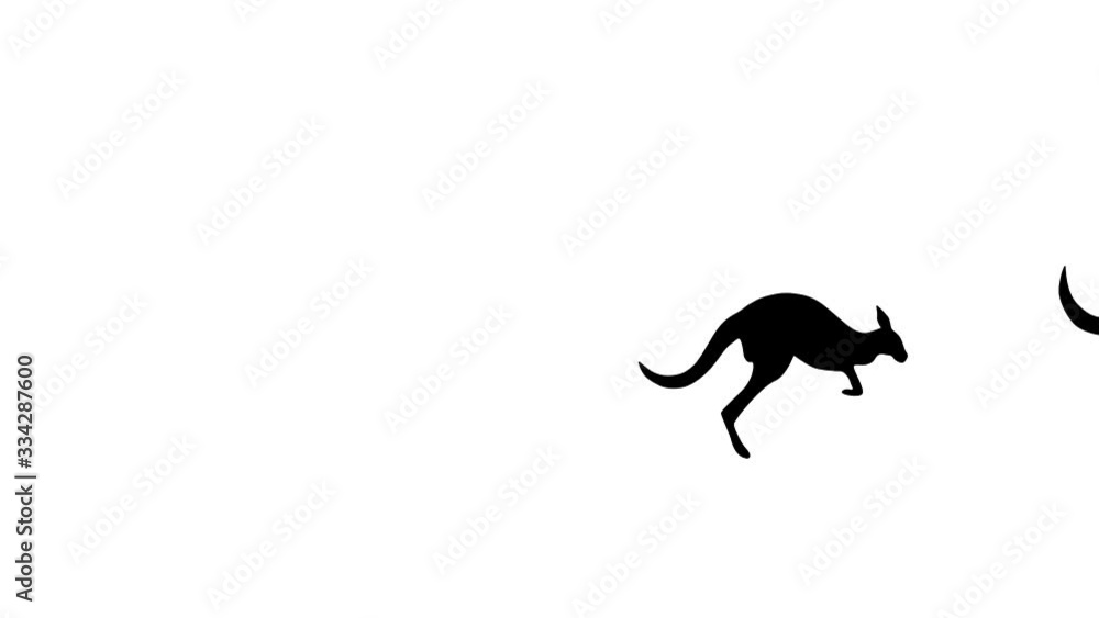 Two jumping kangaroos, animation on the white background