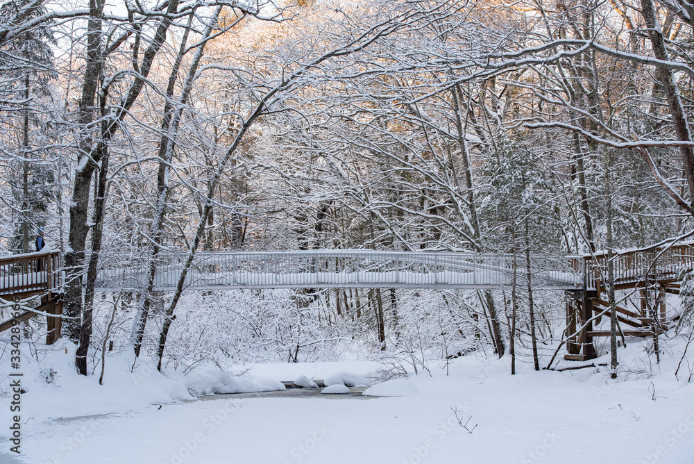 snow covered bridge in winter snow covered bridge in winter