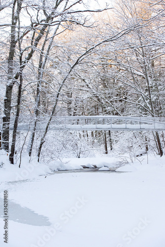 snow covered bridge over river in winter © C.A.SmithPhotography