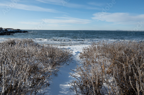 Fototapeta Naklejka Na Ścianę i Meble -  ocean path in winter