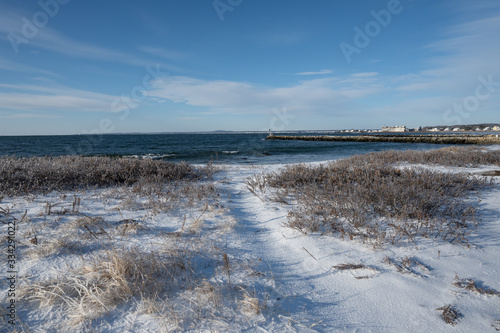 winter landscape with ocean