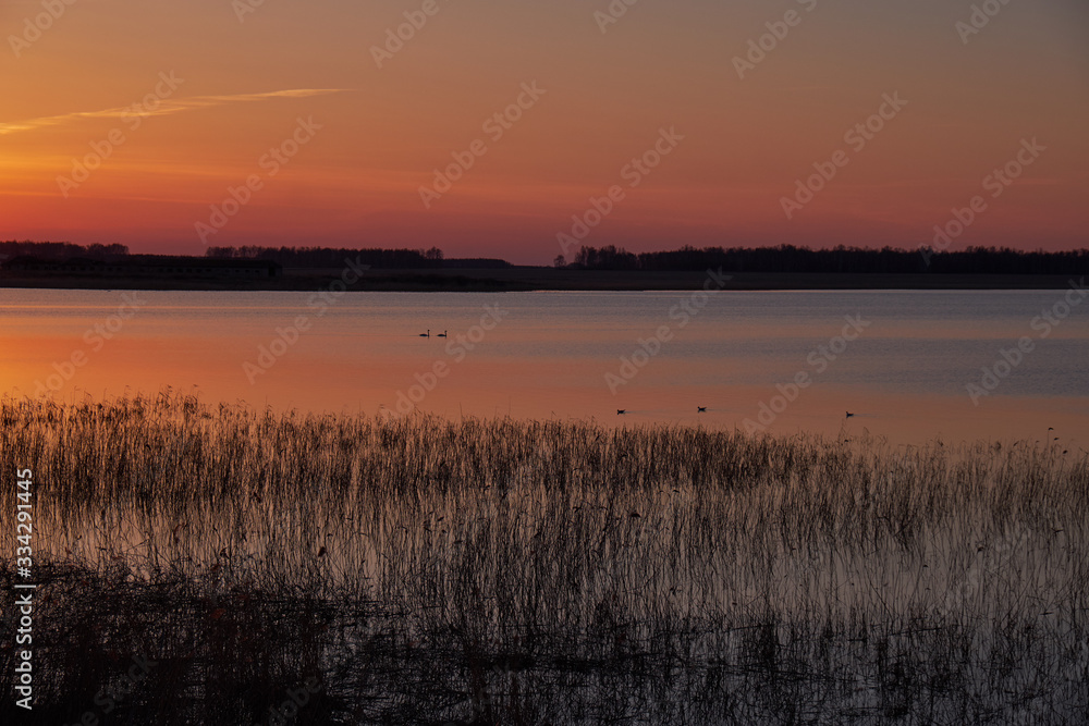 lake in the rays of the setting sun lake in the rays of the setting sun