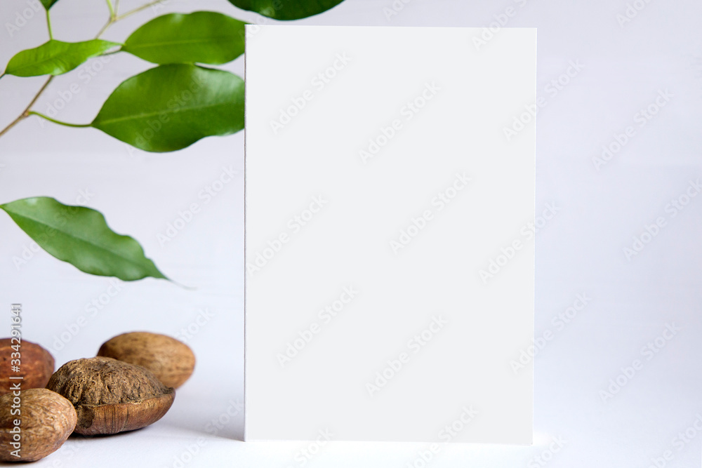 Mock-up for greeting card or invitation, blank greeting card with foliage  and nuts as a