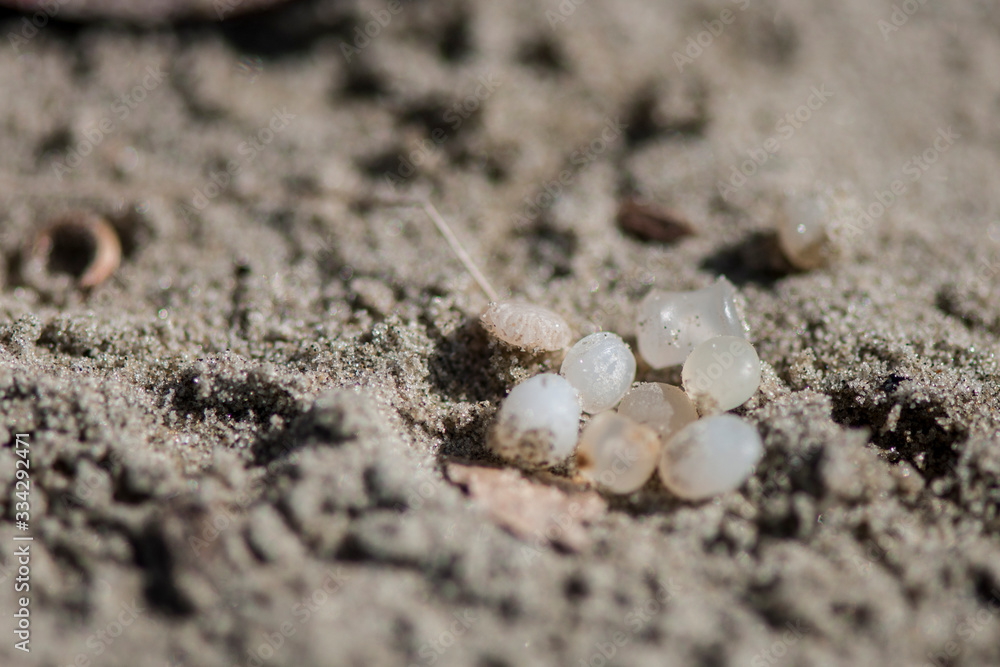 Plastic pellet trash thrown on the beach sand Plastic pellet trash thrown on the beach sand