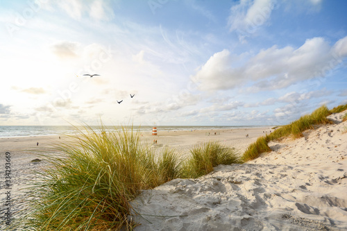 View to beautiful landscape with beach and sand dunes near Henne Strand, North sea coast landscape Jutland Denmark