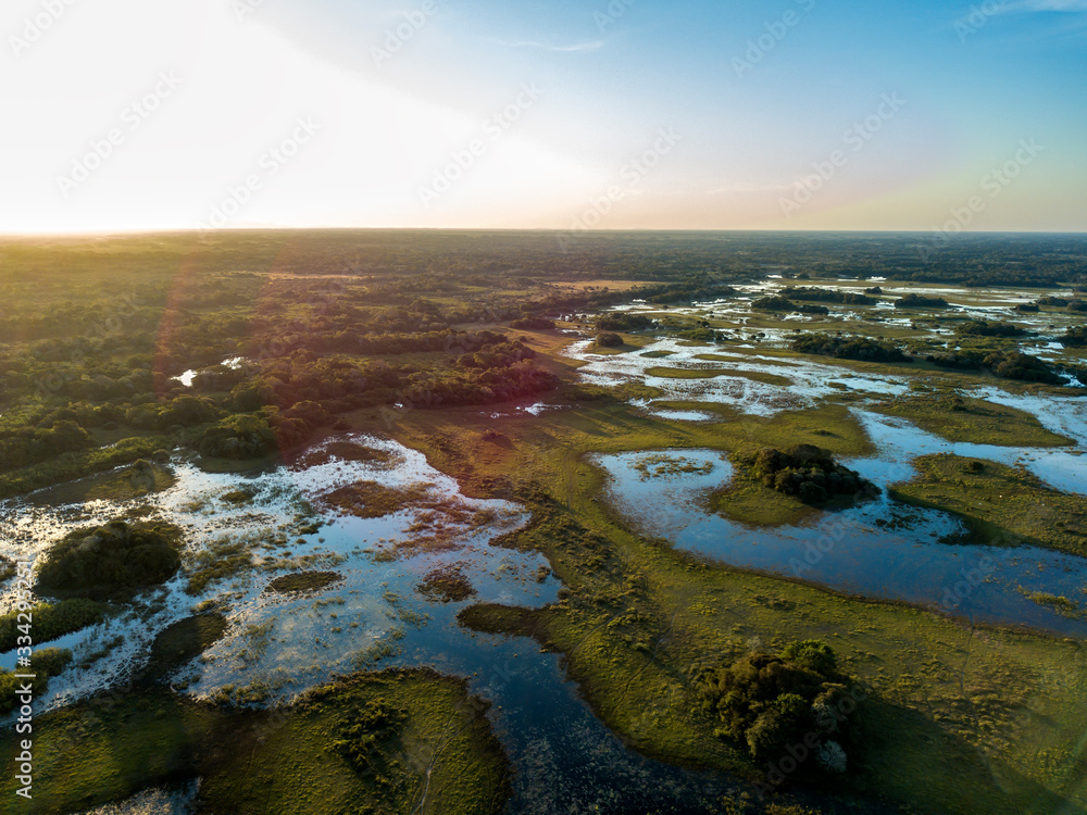 Pantanal photographed in Corumba, Mato Grosso do Sul. Pantanal Biome. Picture made in 2017.