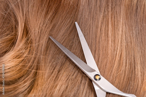 Scissors lying on natural light brown hairs.Selective focus.Top view.Concept of background,care,hair cutting.