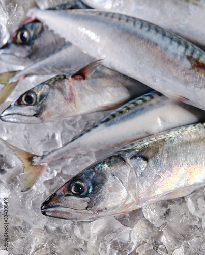 fresh mackerel close-up on ice